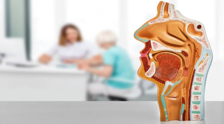 Jama ustna, gardło i krtań - usługi laryngologiczne